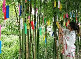 Tanabata wishes 